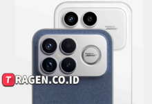 batch 1774595318 article 86 watermarked