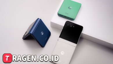 batch 1774595318 article 8 watermarked