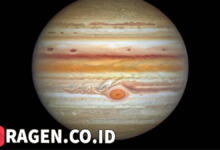 batch 1774595318 article 96 watermarked