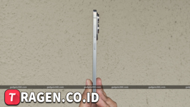 batch 1774595318 article 245 watermarked