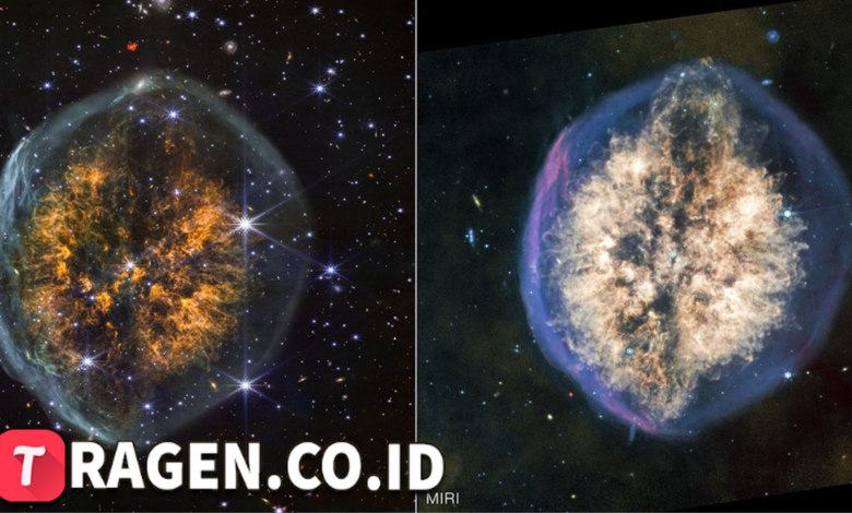 batch 1774595318 article 247 watermarked