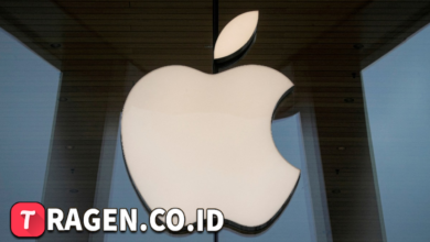 batch 1774595318 article 303 watermarked