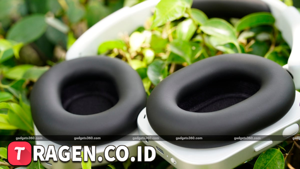 batch 1774595318 article 304 watermarked