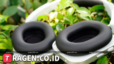 batch 1774595318 article 304 watermarked