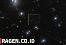 batch 1774595318 article 316 watermarked