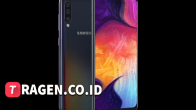 batch 1775297548 article 100 watermarked