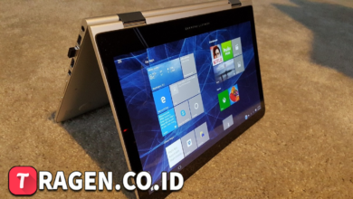 batch 1775297548 article 101 watermarked