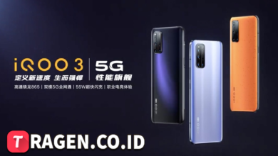 batch 1775297548 article 113 watermarked