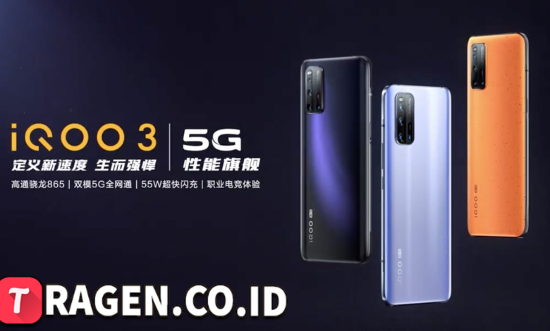 batch 1775297548 article 113 watermarked