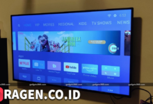 batch 1775297548 article 116 watermarked