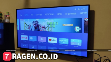 batch 1775297548 article 116 watermarked