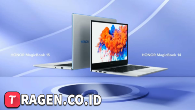 batch 1775297548 article 121 watermarked