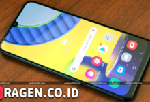 batch 1775297548 article 122 watermarked