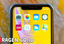 batch 1775297548 article 126 watermarked