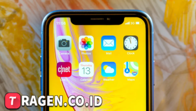 batch 1775297548 article 126 watermarked