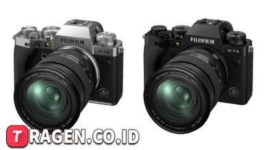 batch 1775297548 article 129 watermarked