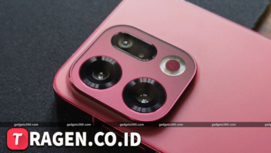 batch 1775297548 article 12 watermarked