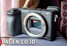 batch 1775297548 article 132 watermarked