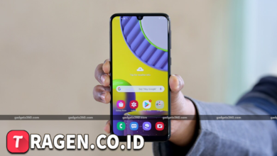 batch 1775297548 article 135 watermarked