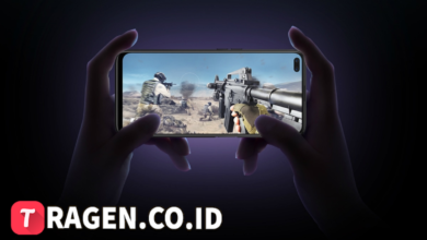 batch 1775297548 article 136 watermarked