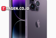 batch 1775297548 article 146 watermarked