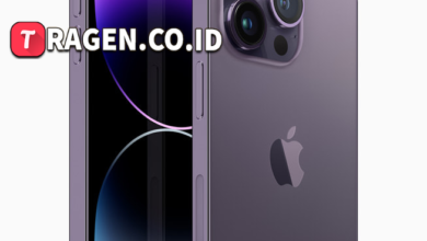 batch 1775297548 article 146 watermarked