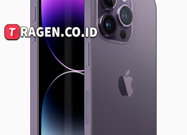 batch 1775297548 article 146 watermarked