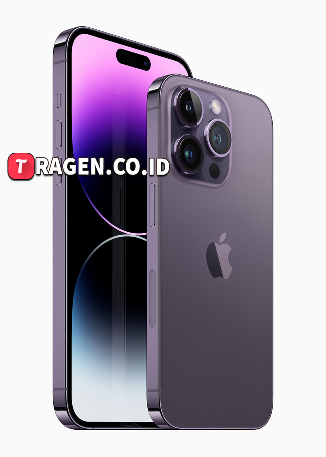 batch 1775297548 article 146 watermarked