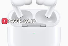 batch 1775297548 article 147 watermarked