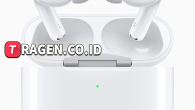 batch 1775297548 article 147 watermarked