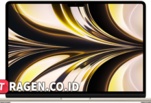 batch 1775297548 article 149 watermarked