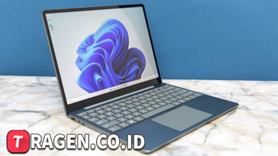 batch 1775297548 article 152 watermarked