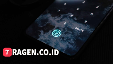 batch 1775297548 article 153 watermarked