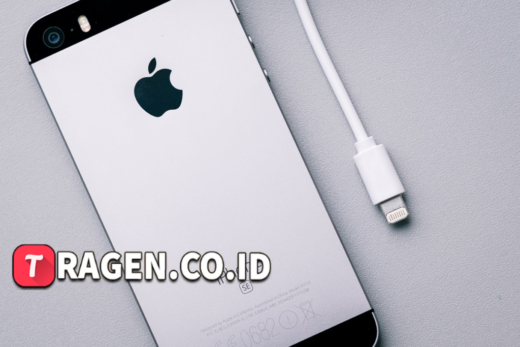 batch 1775297548 article 155 watermarked