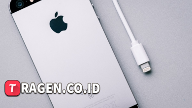 batch 1775297548 article 155 watermarked