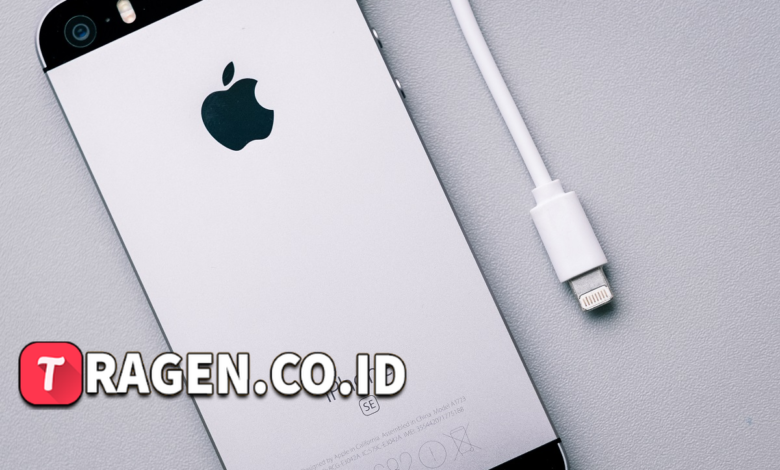 batch 1775297548 article 155 watermarked