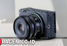 batch 1775297548 article 15 watermarked 1