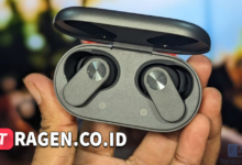 batch 1775297548 article 163 watermarked