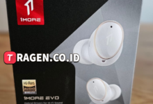 batch 1775297548 article 165 watermarked