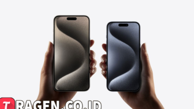 batch 1775297548 article 169 watermarked