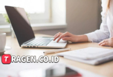 batch 1775297548 article 172 watermarked