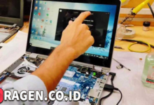 batch 1775297548 article 173 watermarked