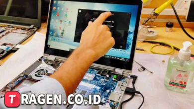 batch 1775297548 article 173 watermarked