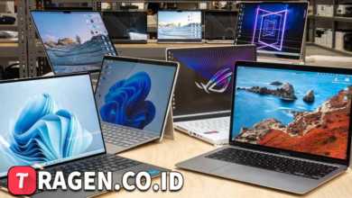 batch 1775297548 article 174 watermarked