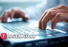 batch 1775297548 article 175 watermarked