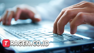 batch 1775297548 article 175 watermarked