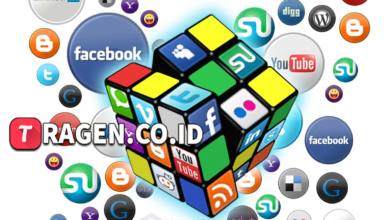 batch 1775297548 article 177 watermarked