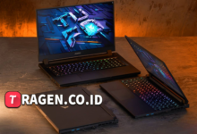 batch 1775297548 article 178 watermarked