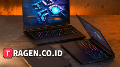 batch 1775297548 article 178 watermarked