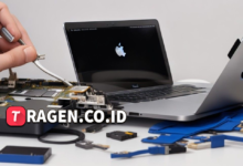 batch 1775297548 article 179 watermarked